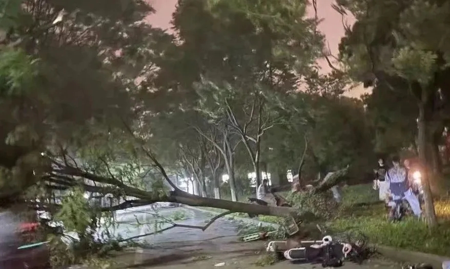 江苏南通等地遭遇大风.webp