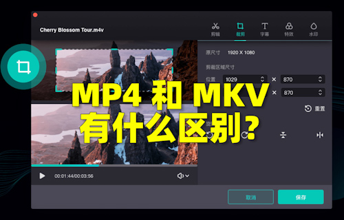 【科普视频】MP4和MKV有什么区别？