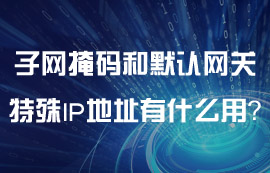 子网掩码和默认网关这两个特殊的IP地址有什么用？