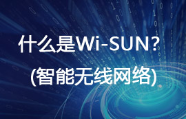 什么是Wi-SUN无线网络？