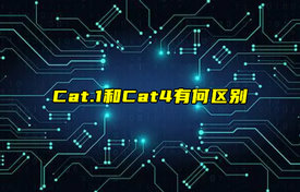 【科普视频】Cat.1和Cat4有何区别？