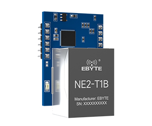 NE2-T1B