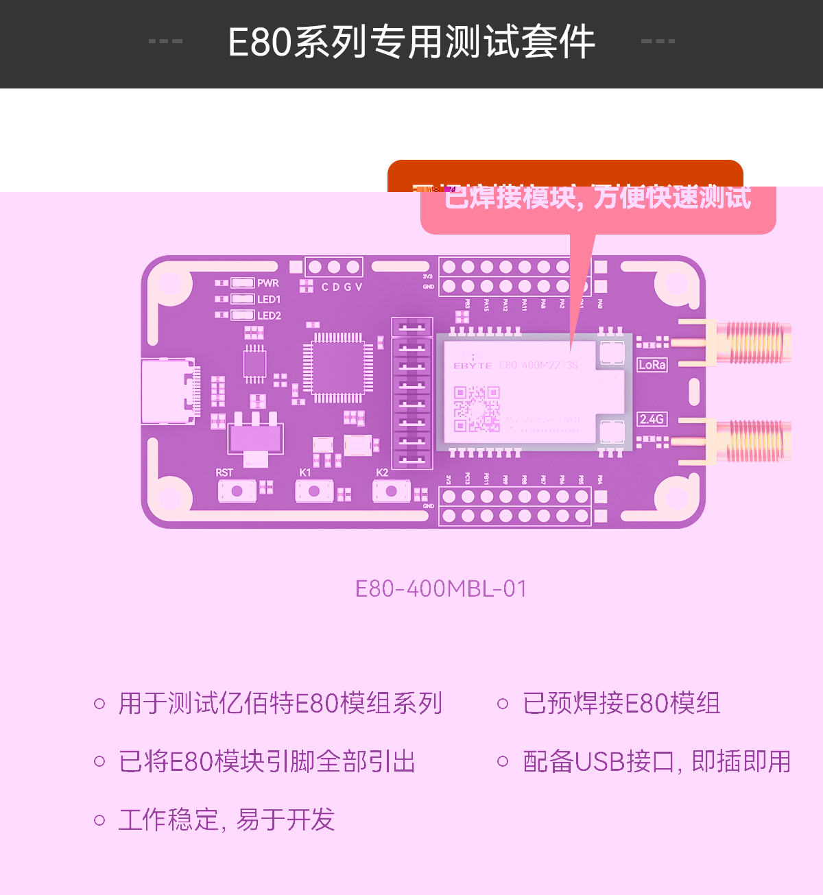 E80-400M2213S 双频lora模块 (11)