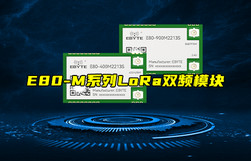 【物联科普】E80-M系列双频LoRa模块新品介绍